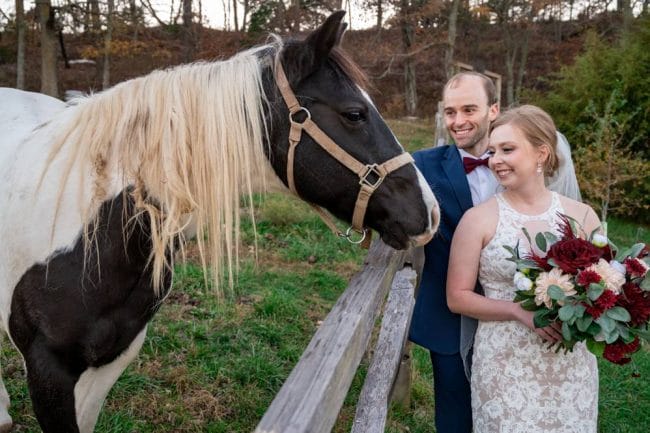 wedding couple with horse